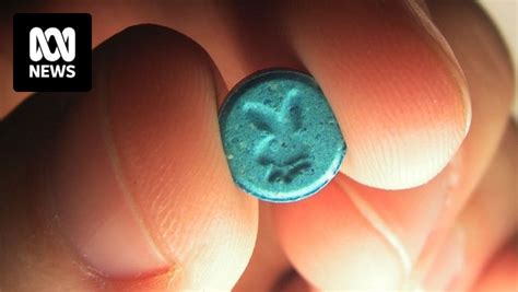 white versace pill report sydney|How does Victoria's stance on pill testing shape up against .